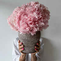 LUNA PRESERVED HYDRANGEA ARRANGEMENT IN HERAMA POT