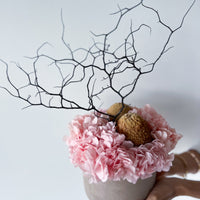 THE MAHA - LARGE-LEAF SAKURA PINK