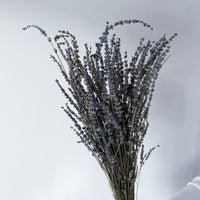 DRIED LAVENDER