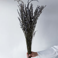 DRIED LAVENDER