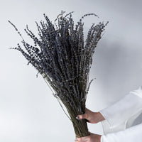 DRIED LAVENDER