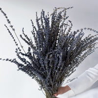 DRIED LAVENDER