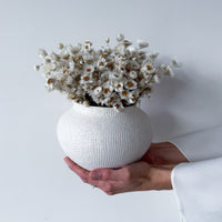 DAISY DREAM DRIED FLOWER ARRANGEMENT IN WHITE VASE