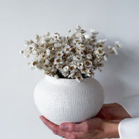 DAISY DREAM DRIED FLOWER ARRANGEMENT IN WHITE VASE