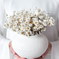 DAISY DREAM DRIED FLOWER ARRANGEMENT IN WHITE VASE