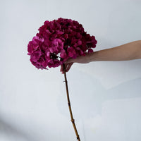 PRESERVED HYDRANGEA STEM I RASPBERRY I LARGE-LEAF