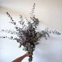 PRESERVED GUM | AUTUMN
