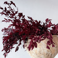 Ilia preserved flower arrangement detail