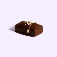 LOCO LOVE Twin Chocolate Bars (Hazelnut Praline)