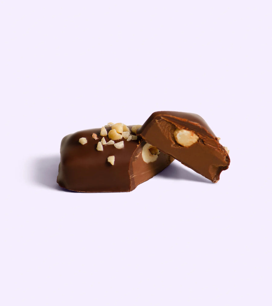 LOCO LOVE Twin Chocolate Bars (Hazelnut Praline)