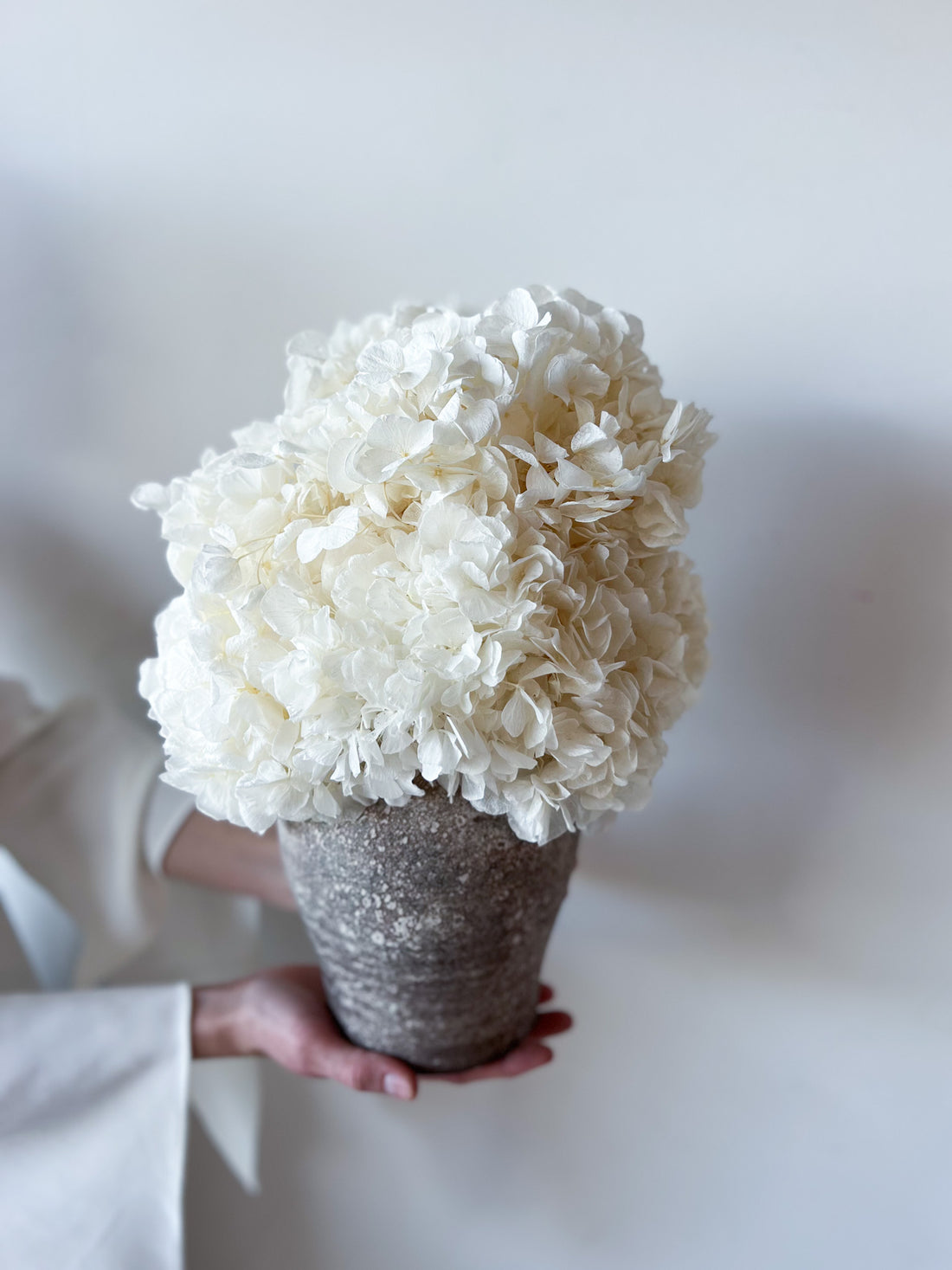 PRE ORDER DECEMBER - LUNA PRESERVED WHITE HYDRANGEA ARRANGEMENT IN HERAMA POT
