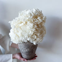 PRE ORDER DECEMBER - LUNA PRESERVED WHITE HYDRANGEA ARRANGEMENT IN HERAMA POT