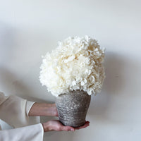 PRE ORDER DECEMBER - LUNA PRESERVED WHITE HYDRANGEA ARRANGEMENT IN HERAMA POT