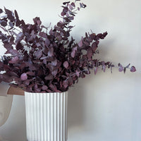 PRESERVED GUM EN MASSE IN WHITE RIPPLE VASE - MARONE