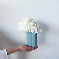 MINI RIPPLE VASE AND PRESERVED HYDRANGEA ARRANGEMENT - LIGHT BLUE X WHITE