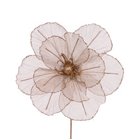 SHEER COPPER CAMELLIA