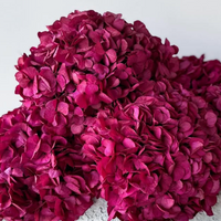 PRESERVED HYDRANGEA STEM I FUCHSIA I LARGE-LEAF