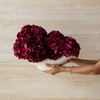 CHARLOTTE BURGUNDY PRESERVED HYDRANGEAS IN COSSE BOWL