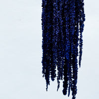PRESERVED AMARANTHUS | NAVY