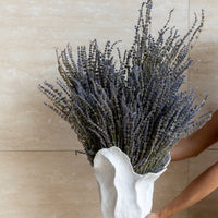 DRIED LAVENDER