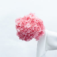 PRESERVED HYDRANGEA STEM I ROSE-PINK I LARGE-LEAF