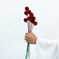 PRESERVED SCABIOSA | DEEP RED