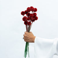 PRESERVED SCABIOSA | DEEP RED