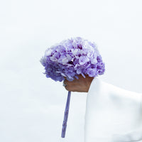 PRESERVED HYDRANGEA STEM I LAVENDER I LARGE-LEAF I