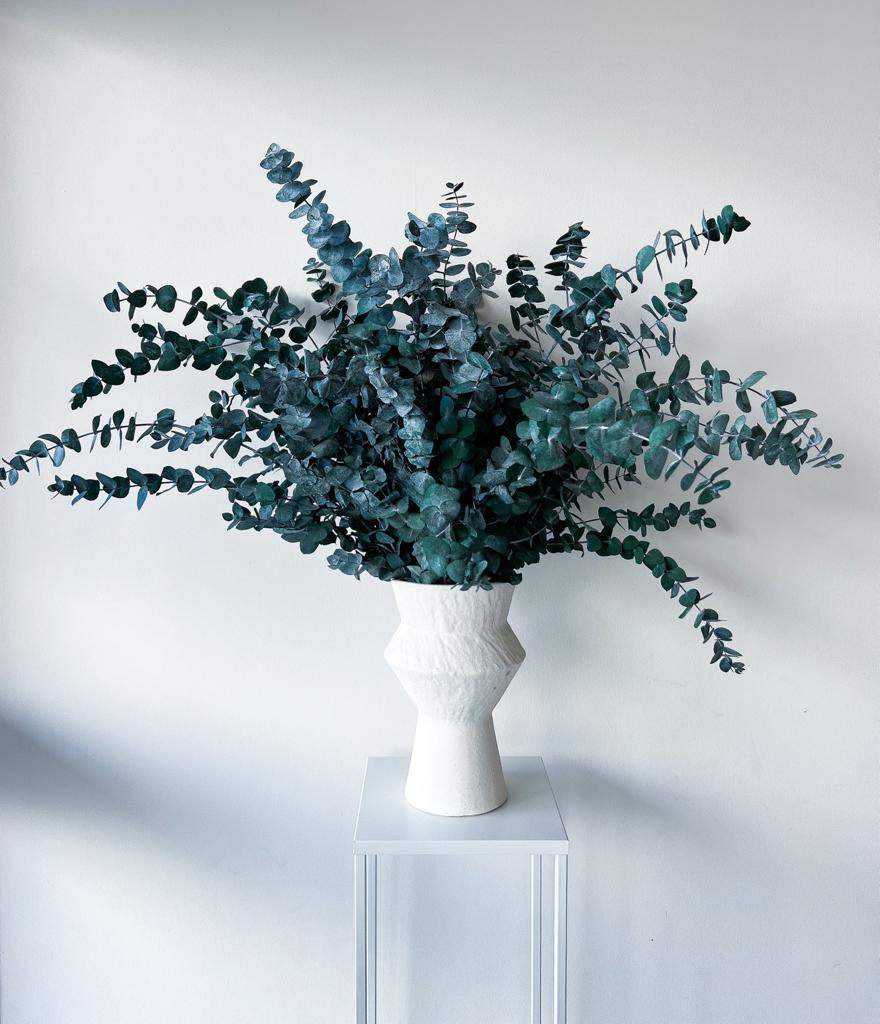 PRESERVED GUM | GREEN