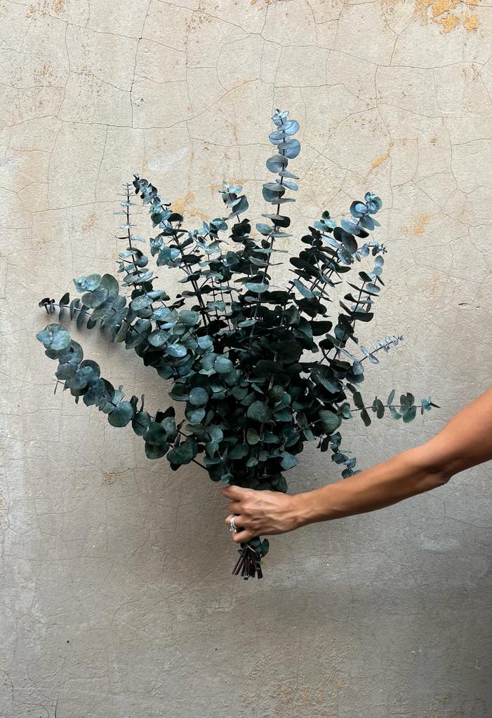 PRESERVED GUM | GREEN