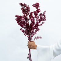 PRESERVED ITALIAN RUSCUS | DEEP BURGUNDY