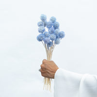 PRESERVED SCABIOSA | SKY BLUE