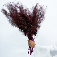 PRESERVED SMOKEBUSH