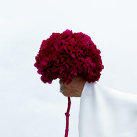 PRESERVED HYDRANGEA STEM I DEEP FUCHSIA I LARGE-LEAF