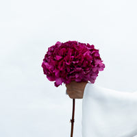PRESERVED HYDRANGEA STEM I FUCHSIA I LARGE-LEAF