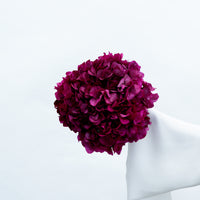 PRESERVED HYDRANGEA STEM I FUCHSIA I LARGE-LEAF