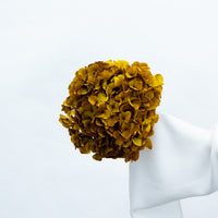 PRESERVED HYDRANGEA STEM I AUTUMN I LARGE-LEAF