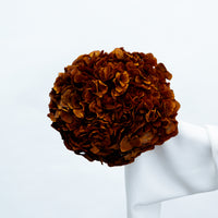 PRESERVED HYDRANGEA STEM I BURNT ORANGE I LARGE-LEAF