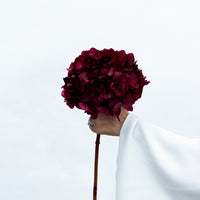 PRESERVED HYDRANGEA STEM I BURGUNDY I LARGE-LEAF