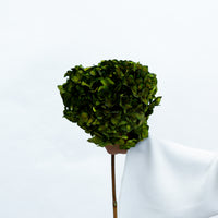 PRESERVED HYDRANGEA STEM I DEEP GREEN I LARGE-LEAF