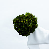 PRESERVED HYDRANGEA STEM I DEEP GREEN I LARGE-LEAF