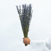 DRIED LAVENDER