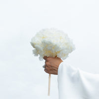 PRESERVED HYDRANGEA STEM I WHITE I LARGE-LEAF