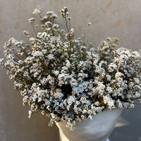 RUBY DRIED MOUNTAIN DAISIES ARRANGEMENT IN ROSITA BOWL