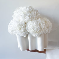 PRE ORDER LATE NOVEMBER ABI PRESERVED FLOWER ARRANGEMENT IN JAIVYN VASE | WHITE