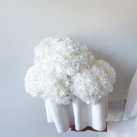 PRE ORDER LATE NOVEMBER ABI PRESERVED FLOWER ARRANGEMENT IN JAIVYN VASE | WHITE
