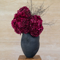 NATALIA burgundy preserved hydrangea and corokia in Morph vase ebony by The Palmier, on a timber plinth