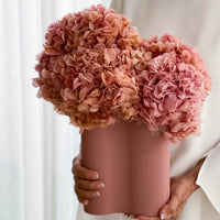 PRESERVED HYDRANGEA blush X INFINITY VESSEL ochre