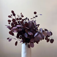 PRESERVED POLYGUM | DEEP BURGUNDY
