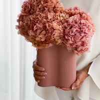 PRESERVED HYDRANGEA blush X INFINITY VESSEL ochre
